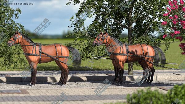 images/goods_img/20210312/3D Team of Four Breast Collar Harness Fur model/5.jpg
